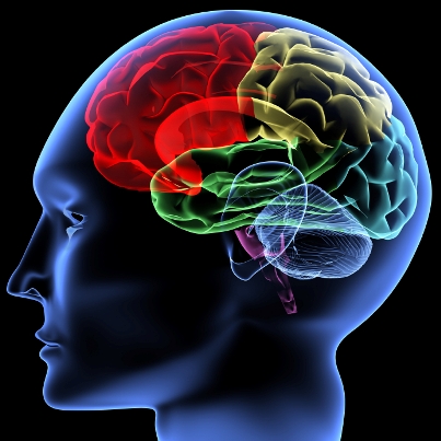 The Power of the Subjective Form: Feelings as Perceptive Devices for Care and Connection